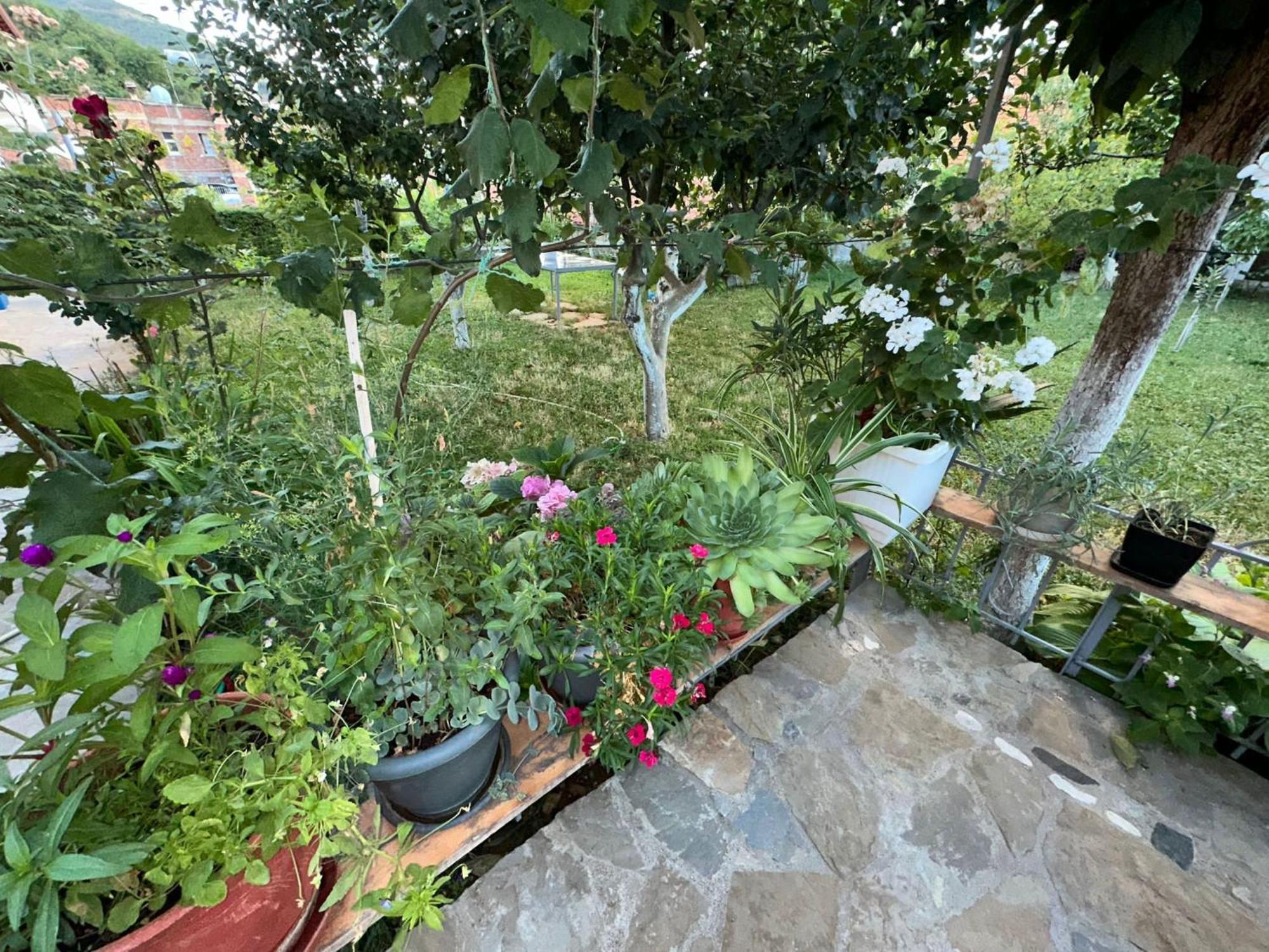 Gardenhouse Βίλα Memlishte Εξωτερικό φωτογραφία